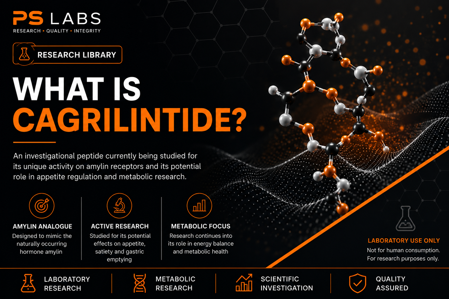 What is Cagrilintide?