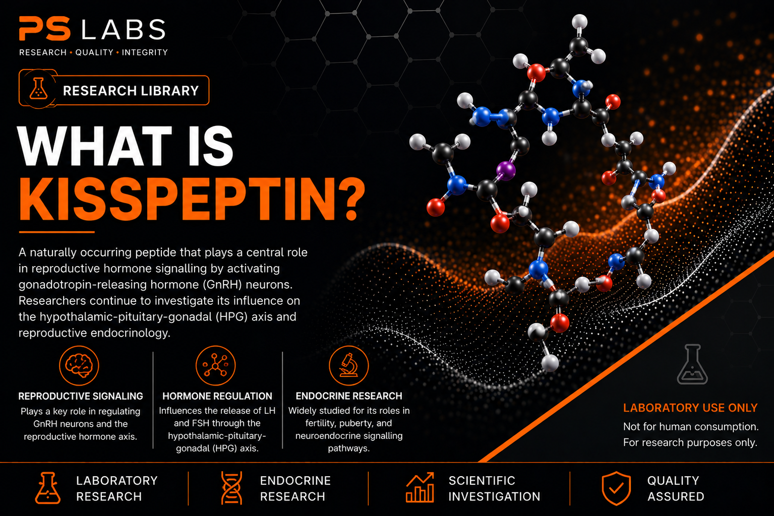 What is Kisspeptin?