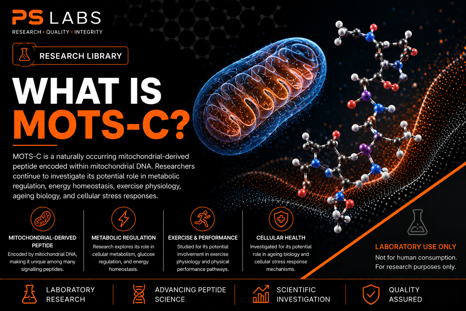 What is MOTS-C?