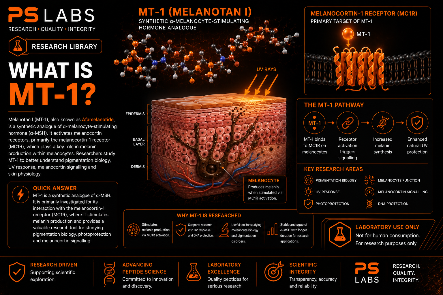 What is MT-1?