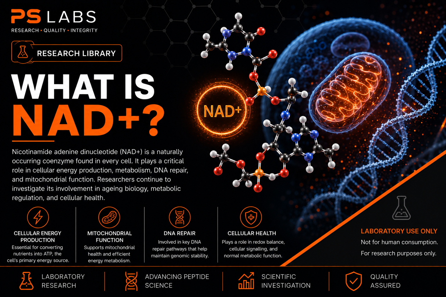 What is NAD+?