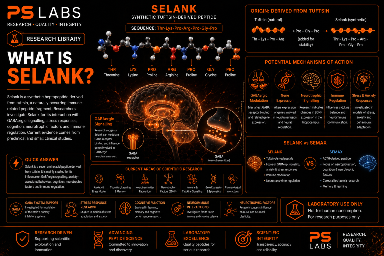 What is Selank?