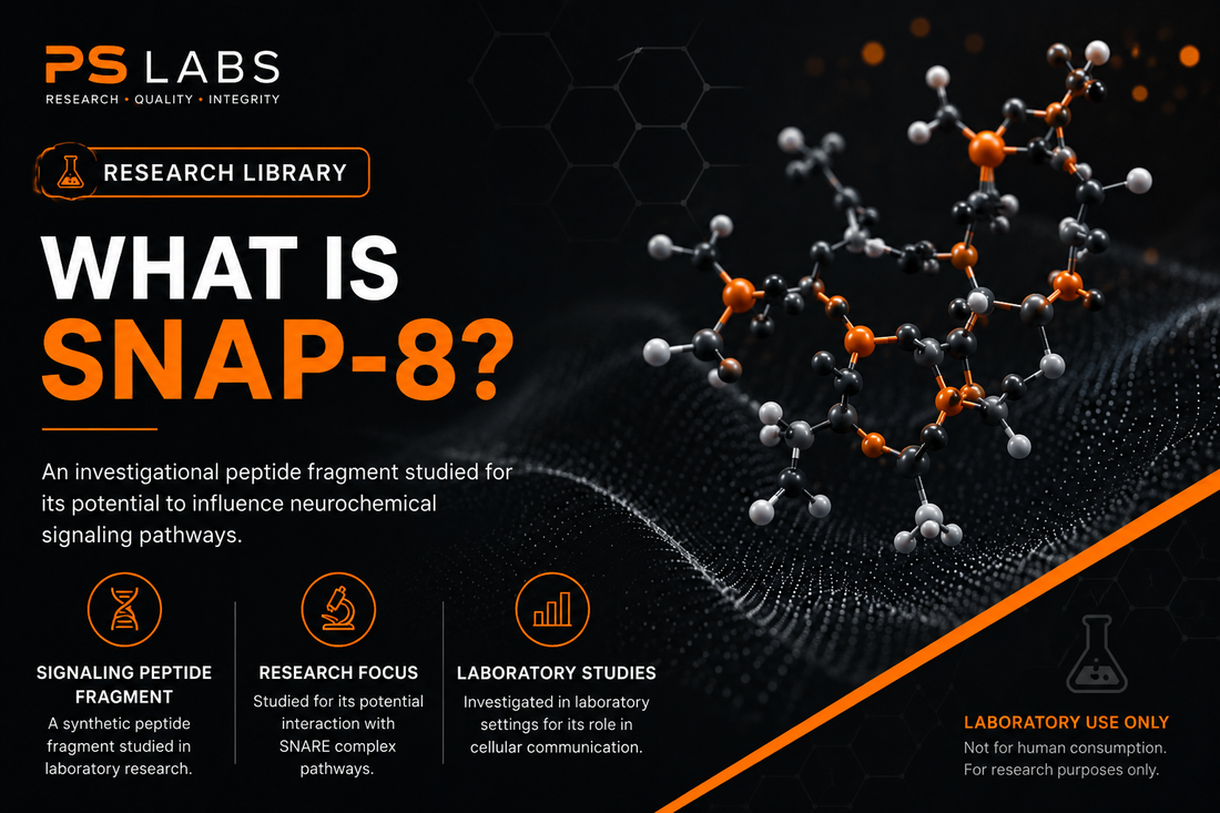 What Is SNAP-8 ?