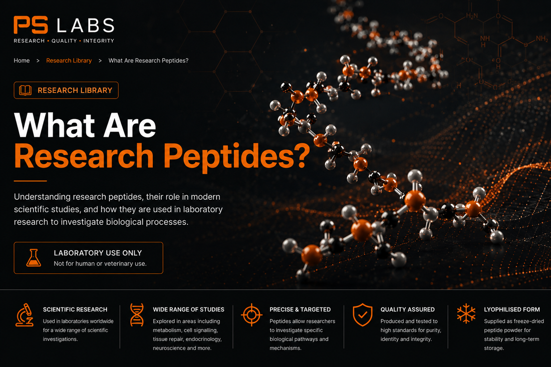 What Are Research Peptides?
